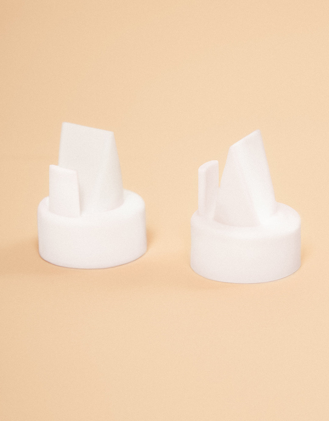 Valves bec de canard  x4